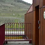 アパート Du Vignoble キーンツハイム