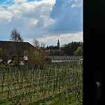 Du Vignoble アパート キーンツハイム
