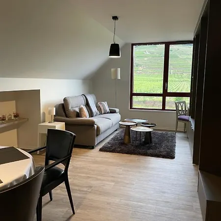 Du Vignoble Apartmán *