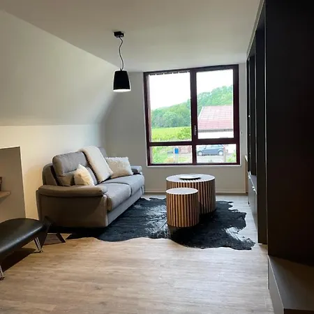 De Manon Au Coeur Des Vignes Kientzheim