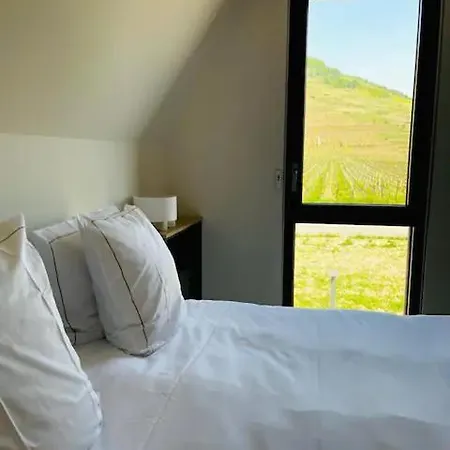 De Manon Au Coeur Des Vignes *