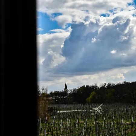 Du Vignoble Lejlighed