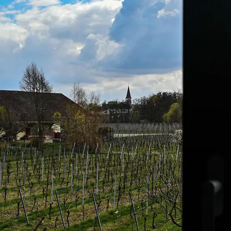 Du Vignoble Apartmán Kientzheim
