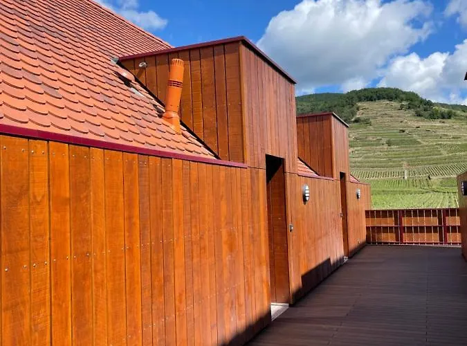 Lejlighed De Manon Au Coeur Des Vignes