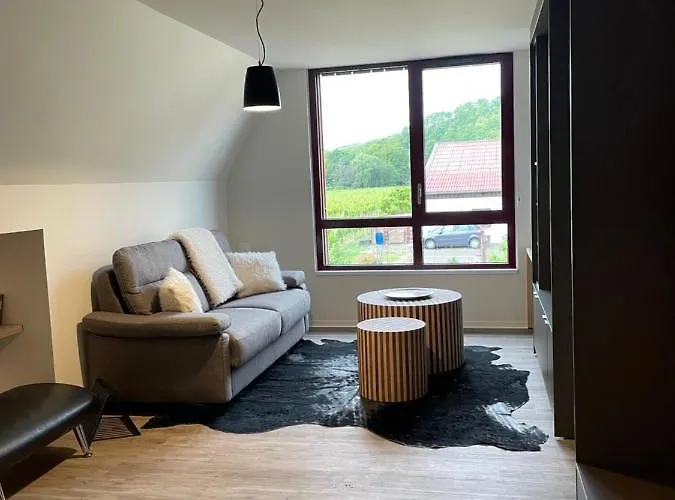 De Manon Au Coeur Des Vignes Kintzheim