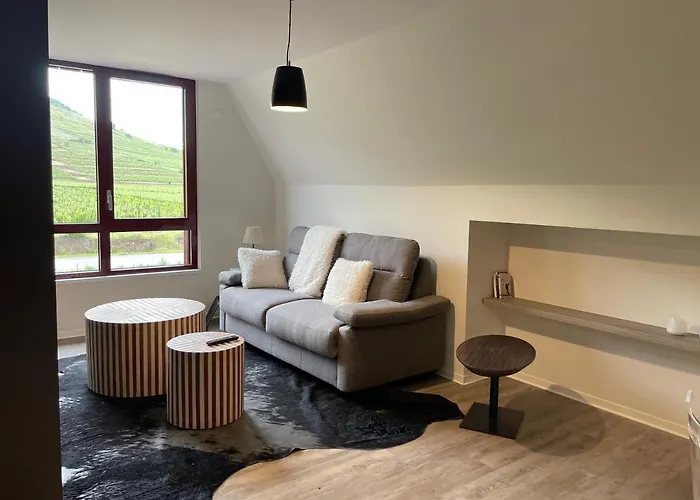 Lejlighed De Manon Au Coeur Des Vignes Kintzheim