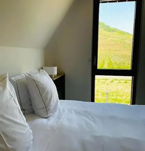 De Manon Au Coeur Des Vignes *