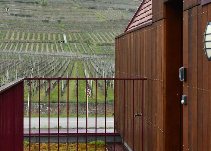 Lejlighed Du Vignoble Kintzheim